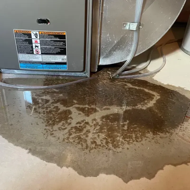 Appliance Leak Cleanup in Grand Isle, LA